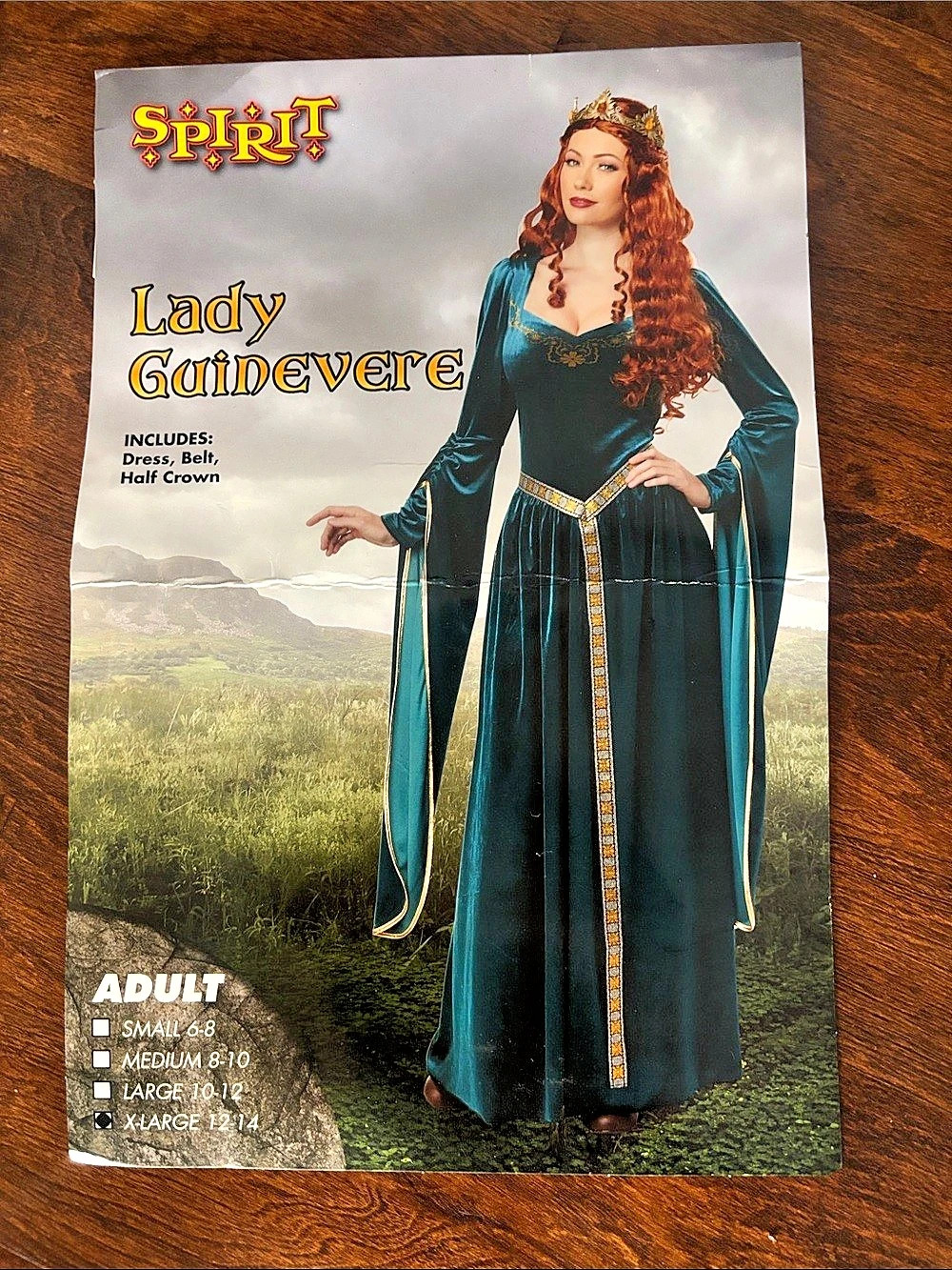 Spirit Halloween Lady Guinevere Costume Maxi Dress Blue & Gold XL 12-14
